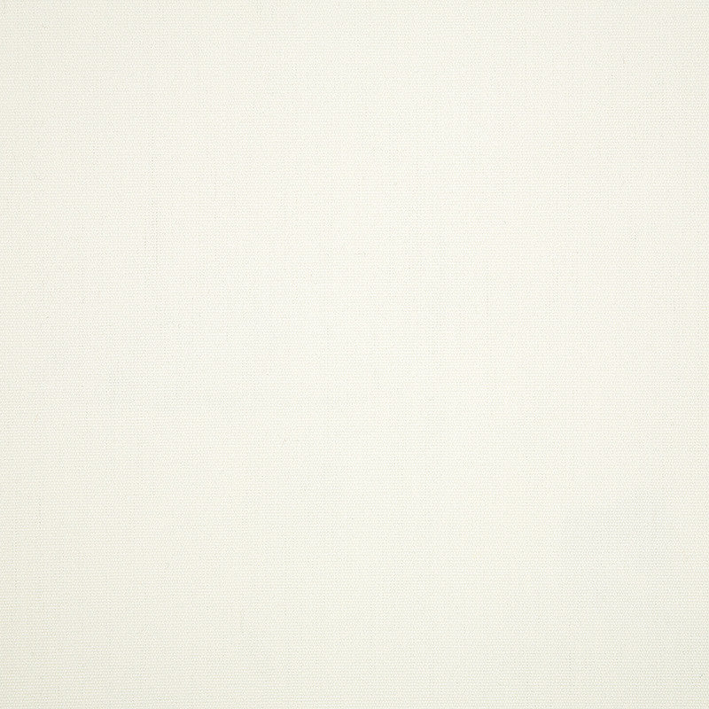 Swatch Sunbrella Canvas White