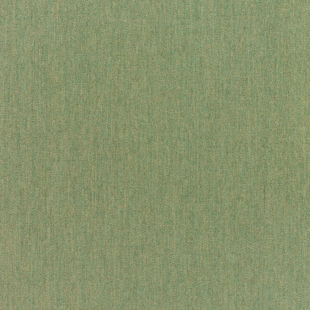 Sunbrella Canvas Fern