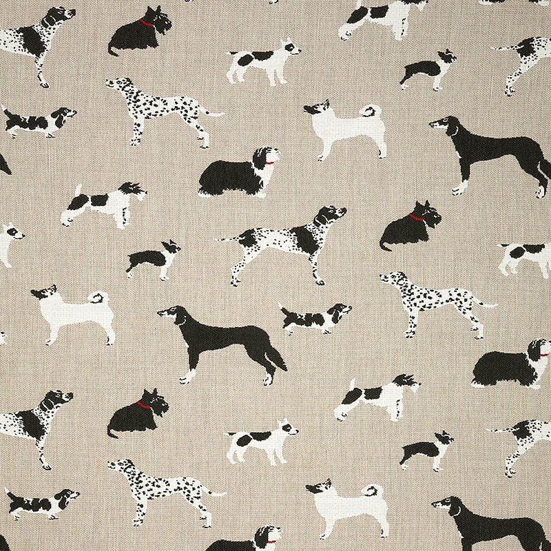 Sunbrella Fetch & Bone